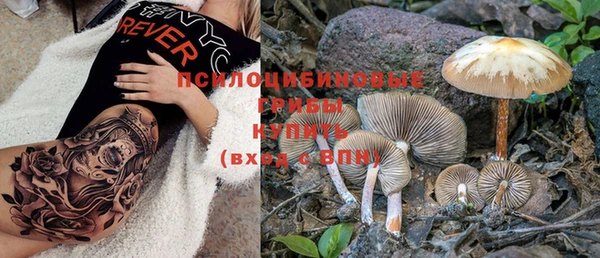 ПСИЛОЦИБИНОВЫЕ ГРИБЫ Кулебаки